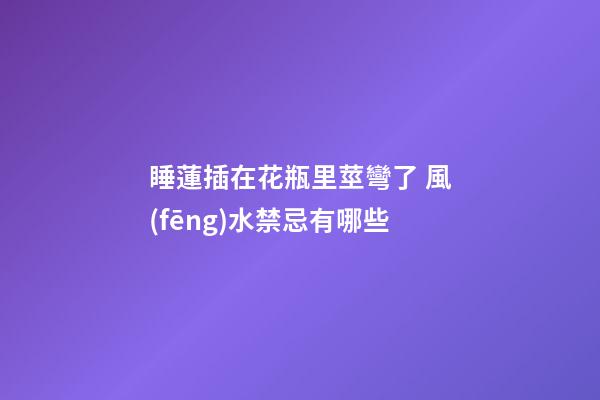睡蓮插在花瓶里莖彎了 風(fēng)水禁忌有哪些